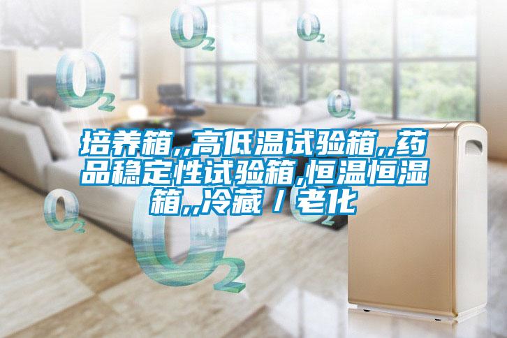 培養(yǎng)箱,,高低溫試驗箱,,藥品穩(wěn)定性試驗箱,恒溫恒濕箱,,冷藏／老化