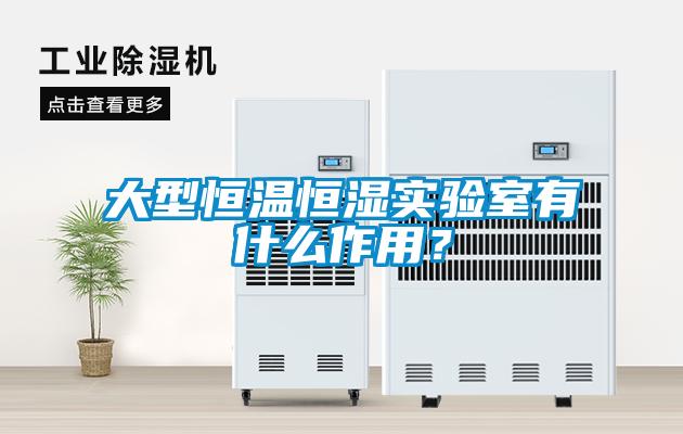 大型恒溫恒濕實(shí)驗(yàn)室有什么作用？