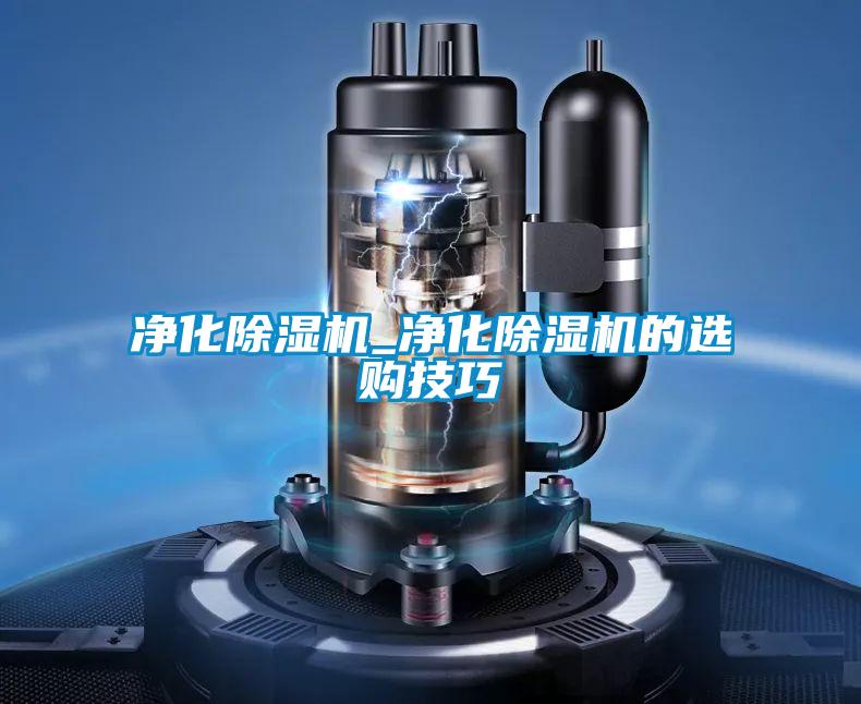 凈化除濕機(jī)_凈化除濕機(jī)的選購(gòu)技巧