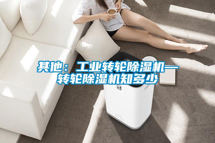 其他：工業(yè)轉(zhuǎn)輪除濕機(jī)—轉(zhuǎn)輪除濕機(jī)知多少