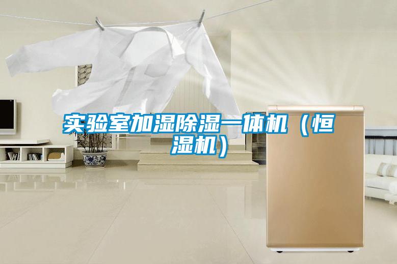實(shí)驗(yàn)室加濕除濕一體機(jī)（恒濕機(jī)）