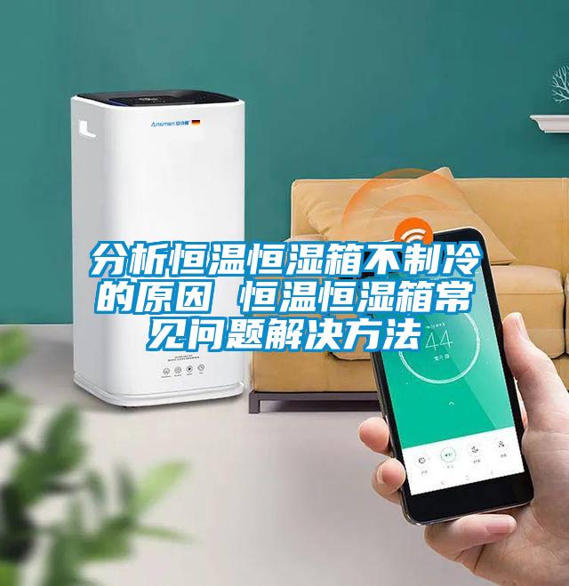 分析恒溫恒濕箱不制冷的原因 恒溫恒濕箱常見(jiàn)問(wèn)題解決方法