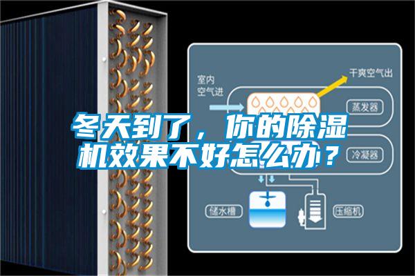 冬天到了，你的除濕機(jī)效果不好怎么辦？