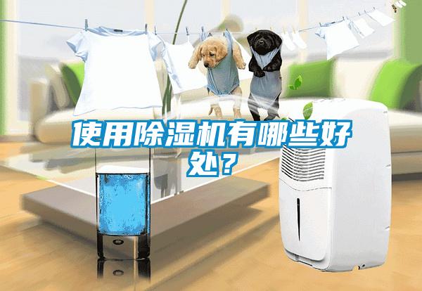 使用除濕機(jī)有哪些好處？