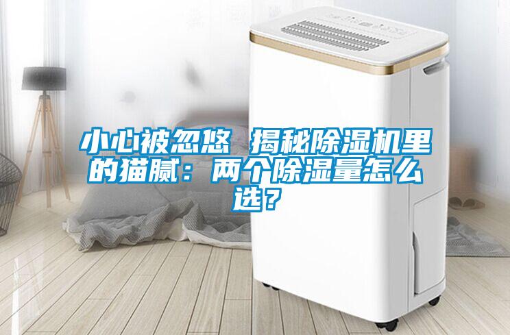 小心被忽悠 揭秘除濕機(jī)里的貓膩：兩個(gè)除濕量怎么選？