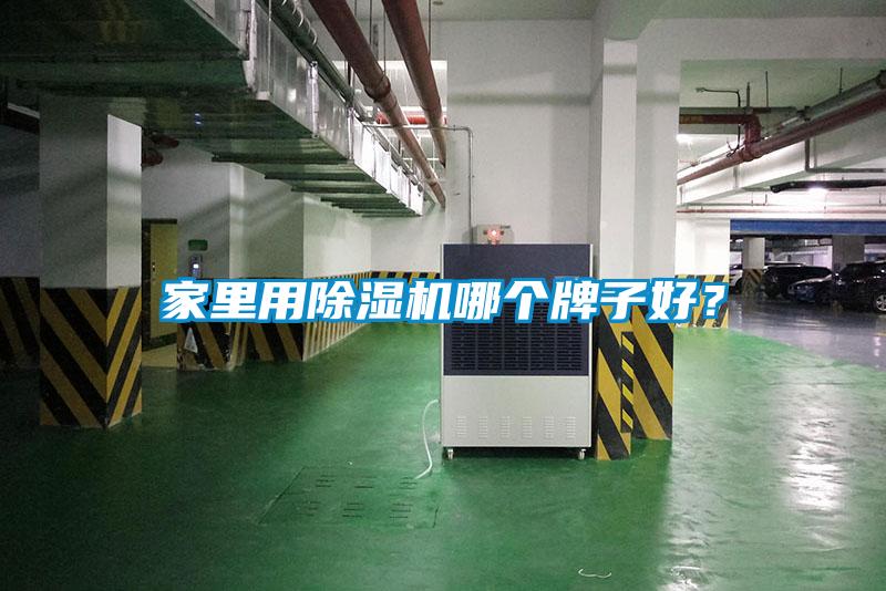 家里用除濕機哪個牌子好？
