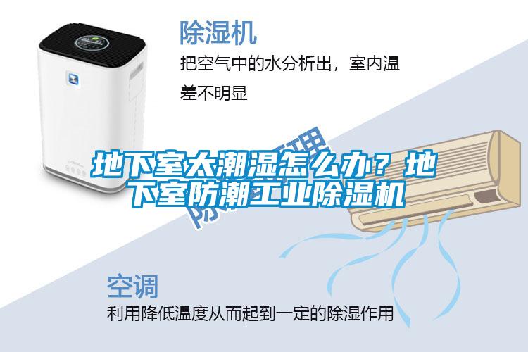 地下室太潮濕怎么辦？地下室防潮工業(yè)除濕機(jī)
