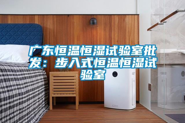 廣東恒溫恒濕試驗(yàn)室批發(fā)：步入式恒溫恒濕試驗(yàn)室