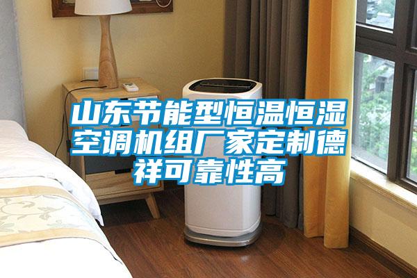 山東節(jié)能型恒溫恒濕空調機組廠家定制德祥可靠性高