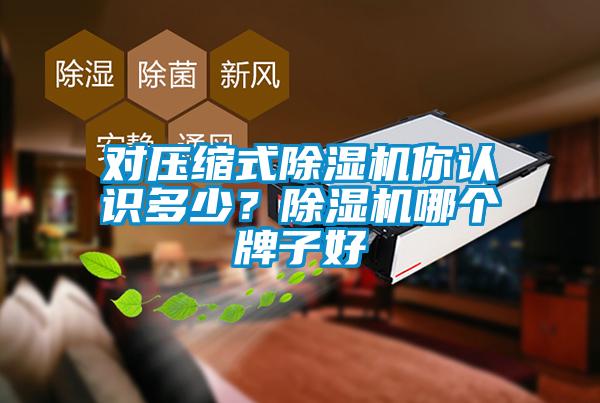 對(duì)壓縮式除濕機(jī)你認(rèn)識(shí)多少？除濕機(jī)哪個(gè)牌子好