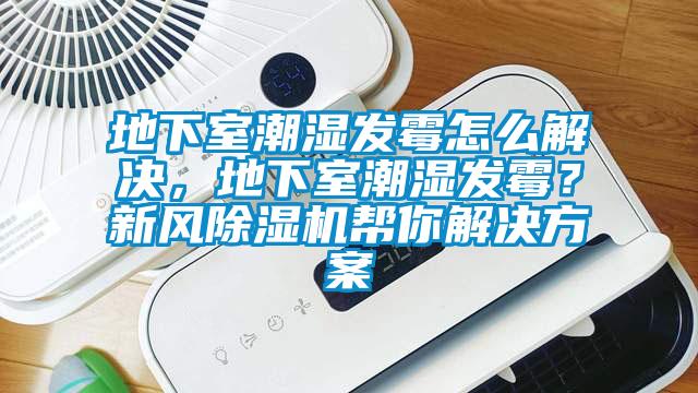地下室潮濕發(fā)霉怎么解決，地下室潮濕發(fā)霉？新風(fēng)除濕機幫你解決方案