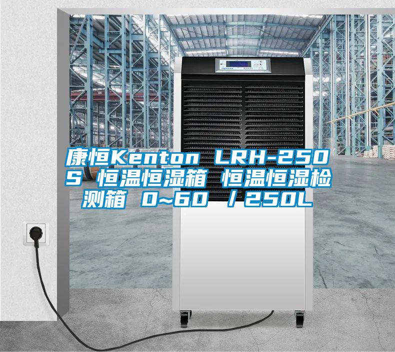 康恒Kenton LRH-250S 恒溫恒濕箱 恒溫恒濕檢測(cè)箱 0~60℃／250L