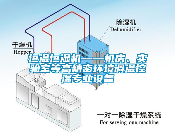 恒溫恒濕機——機房、實驗室等高精密環(huán)境調(diào)溫控濕專業(yè)設(shè)備
