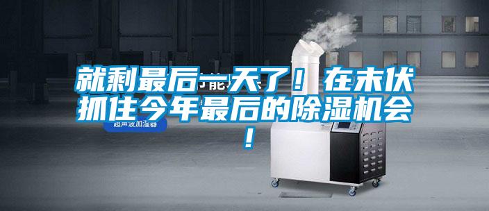 就剩最后一天了！在末伏抓住今年最后的除濕機(jī)會(huì)！