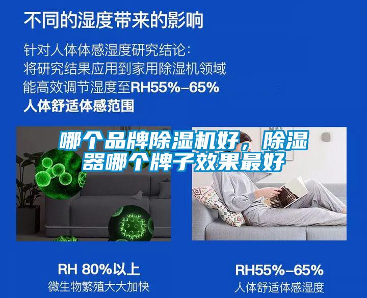哪個(gè)品牌除濕機(jī)好，除濕器哪個(gè)牌子效果最好