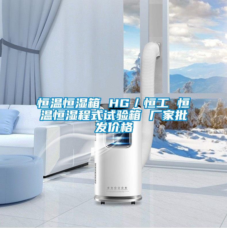 恒溫恒濕箱 HG／恒工 恒溫恒濕程式試驗(yàn)箱 廠家批發(fā)價(jià)格