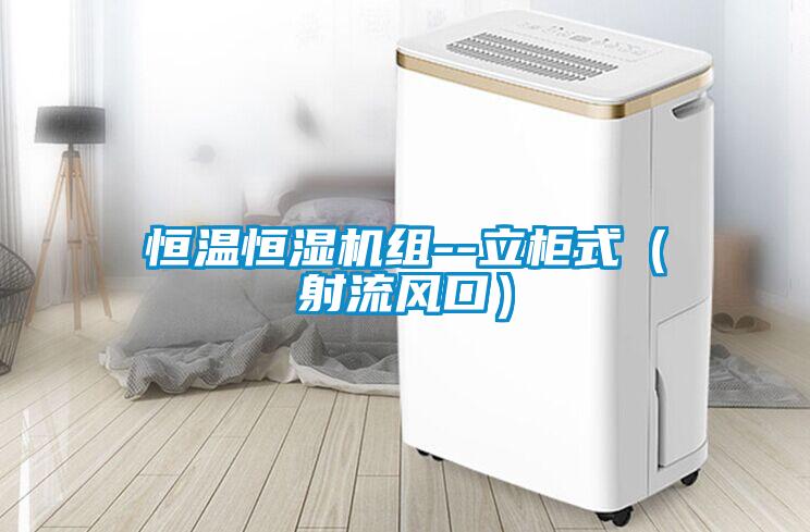 恒溫恒濕機(jī)組--立柜式（射流風(fēng)口）