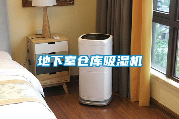 地下室倉(cāng)庫(kù)吸濕機(jī)