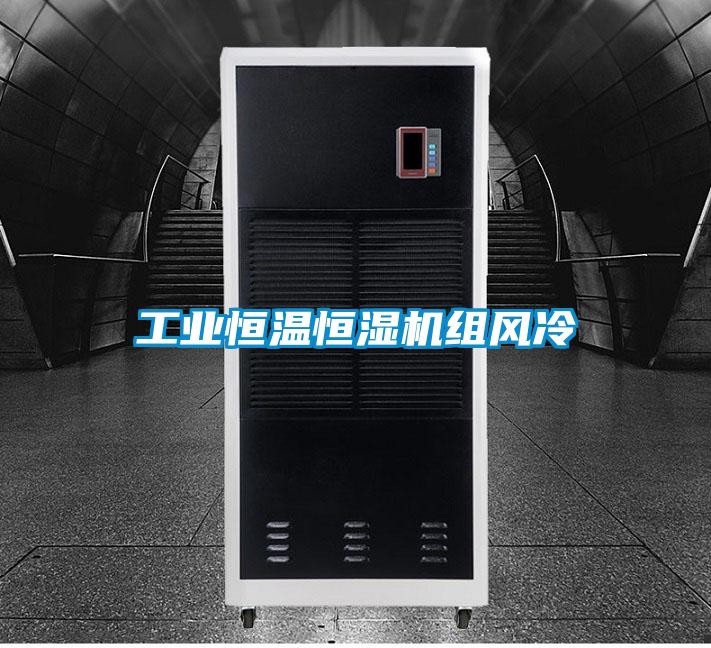 工業(yè)恒溫恒濕機組風冷