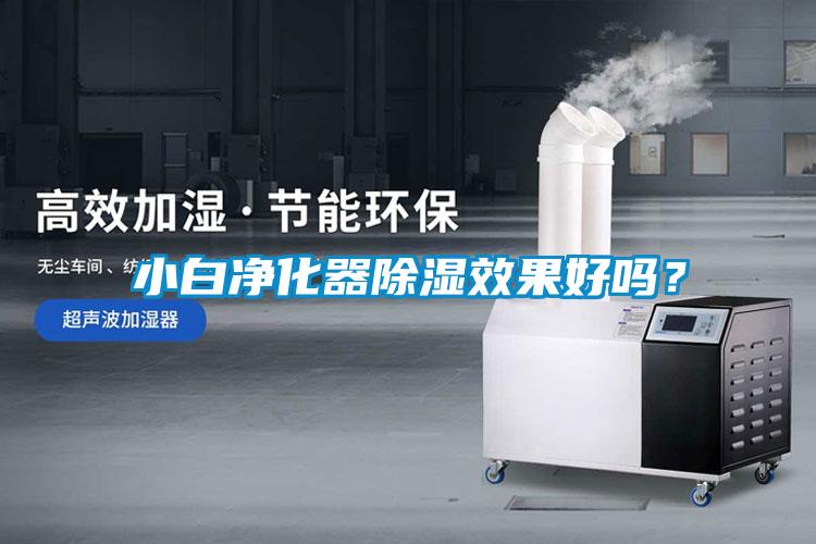 小白凈化器除濕效果好嗎？