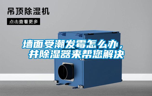 墻面受潮發(fā)霉怎么辦，東井除濕器來幫您解決