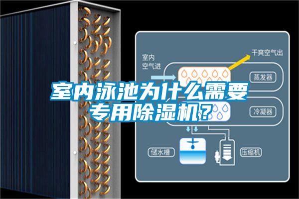 室內(nèi)泳池為什么需要專用除濕機(jī)？