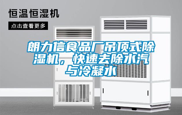 朗力信食品廠吊頂式除濕機，快速去除水汽與冷凝水