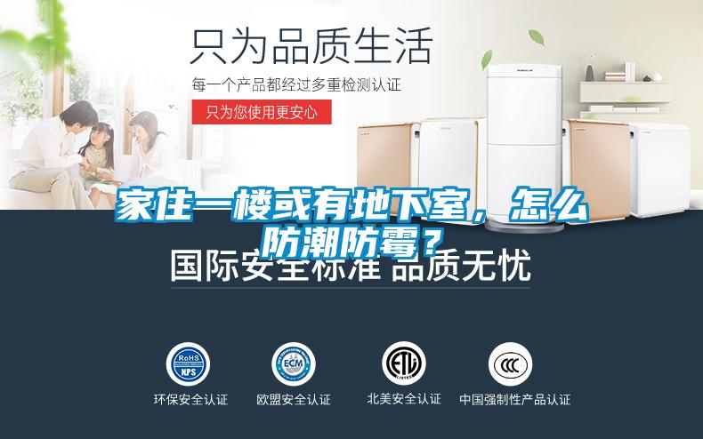 家住一樓或有地下室，怎么防潮防霉？