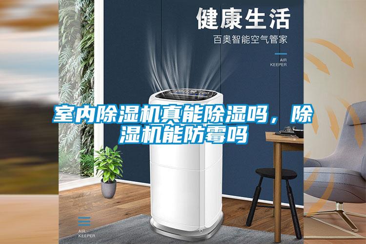 室內(nèi)除濕機(jī)真能除濕嗎，除濕機(jī)能防霉嗎