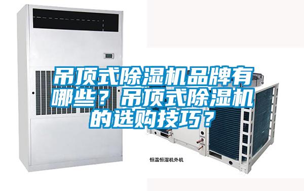 吊頂式除濕機(jī)品牌有哪些？吊頂式除濕機(jī)的選購(gòu)技巧？
