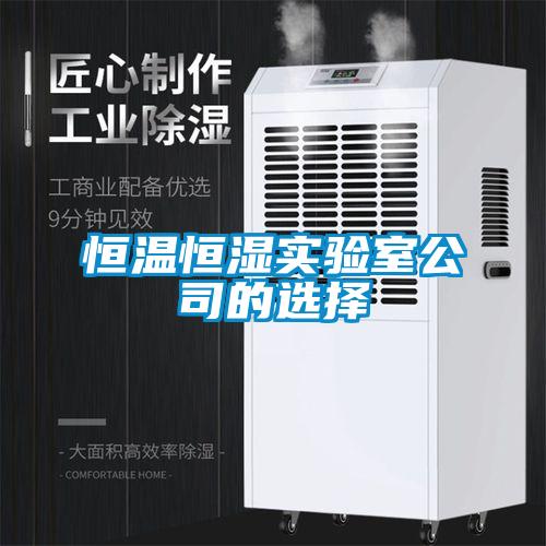 恒溫恒濕實(shí)驗(yàn)室公司的選擇