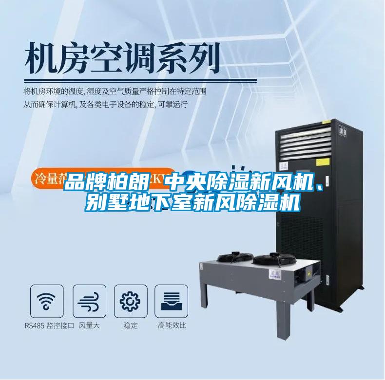 品牌柏朗 中央除濕新風(fēng)機(jī)、別墅地下室新風(fēng)除濕機(jī)