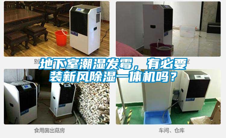 地下室潮濕發(fā)霉，有必要裝新風(fēng)除濕一體機(jī)嗎？