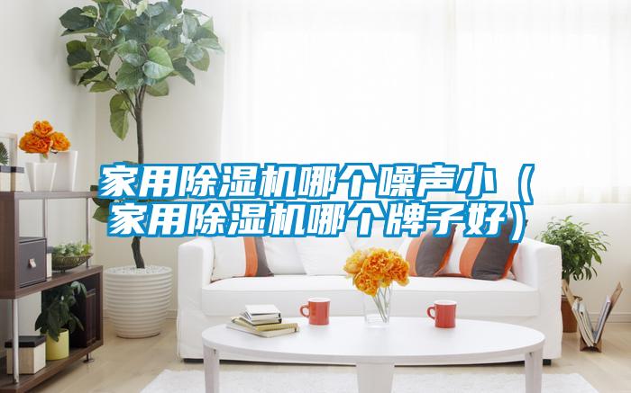 家用除濕機哪個噪聲?。矣贸凉駲C哪個牌子好）
