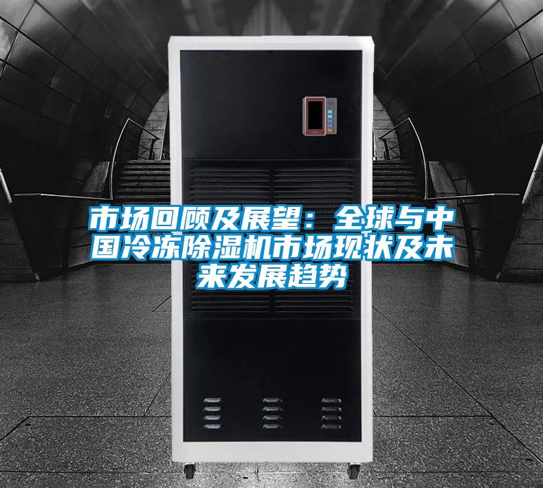 市場回顧及展望：全球與中國冷凍除濕機市場現(xiàn)狀及未來發(fā)展趨勢