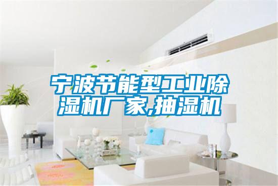 寧波節(jié)能型工業(yè)除濕機(jī)廠家,抽濕機(jī)