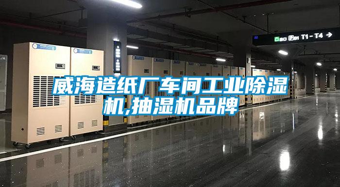 威海造紙廠車間工業(yè)除濕機,抽濕機品牌