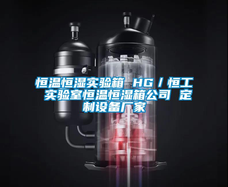 恒溫恒濕實驗箱 HG／恒工 實驗室恒溫恒濕箱公司 定制設(shè)備廠家