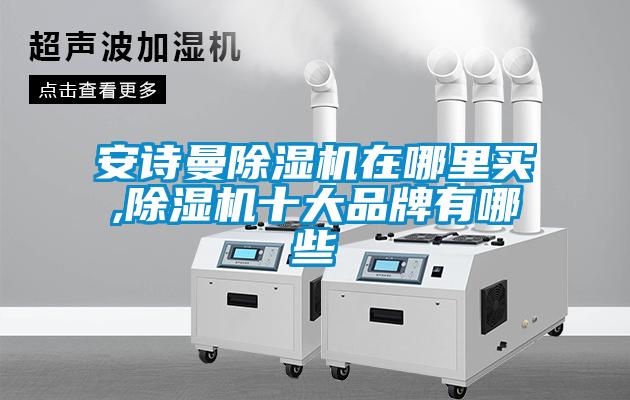 安詩(shī)曼除濕機(jī)在哪里買,除濕機(jī)十大品牌有哪些