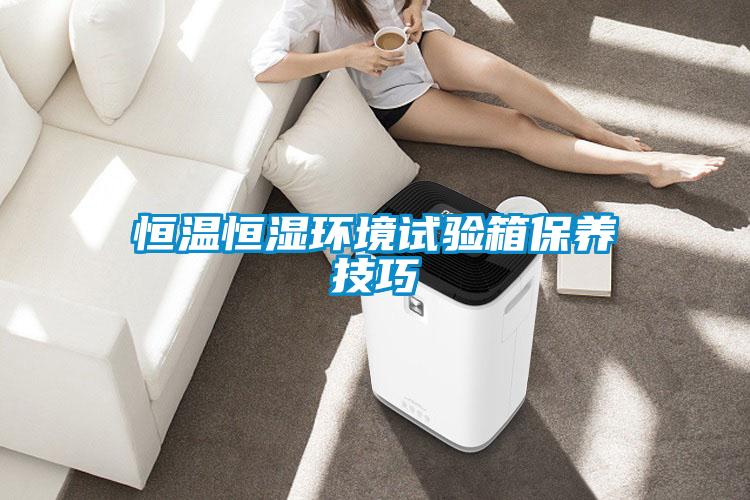 恒溫恒濕環(huán)境試驗(yàn)箱保養(yǎng)技巧
