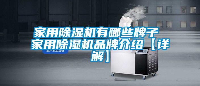 家用除濕機(jī)有哪些牌子 家用除濕機(jī)品牌介紹【詳解】