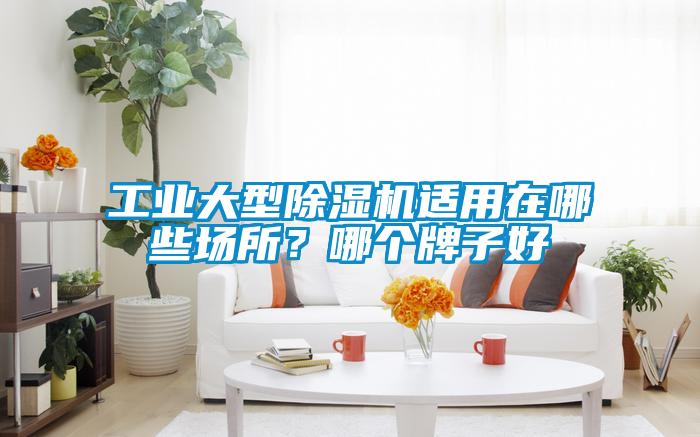 工業(yè)大型除濕機(jī)適用在哪些場(chǎng)所？哪個(gè)牌子好