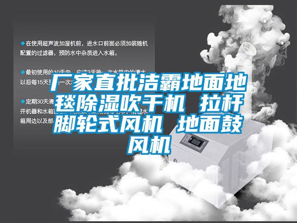 廠(chǎng)家直批潔霸地面地毯除濕吹干機(jī) 拉桿腳輪式風(fēng)機(jī) 地面鼓風(fēng)機(jī)