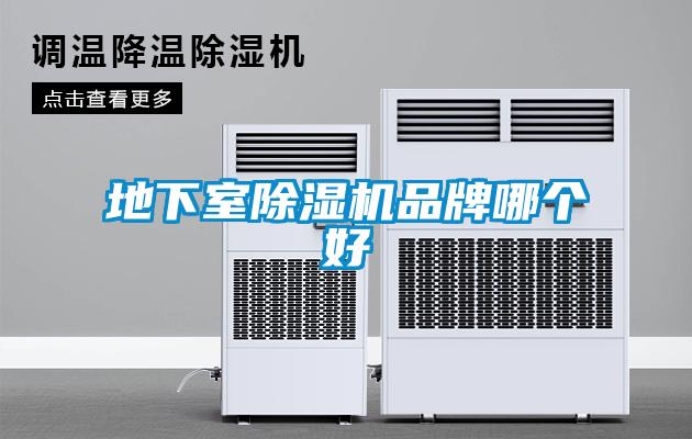 地下室除濕機(jī)品牌哪個(gè)好