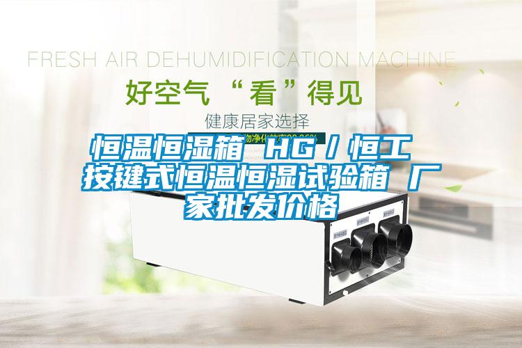 恒溫恒濕箱 HG／恒工 按鍵式恒溫恒濕試驗(yàn)箱 廠家批發(fā)價格
