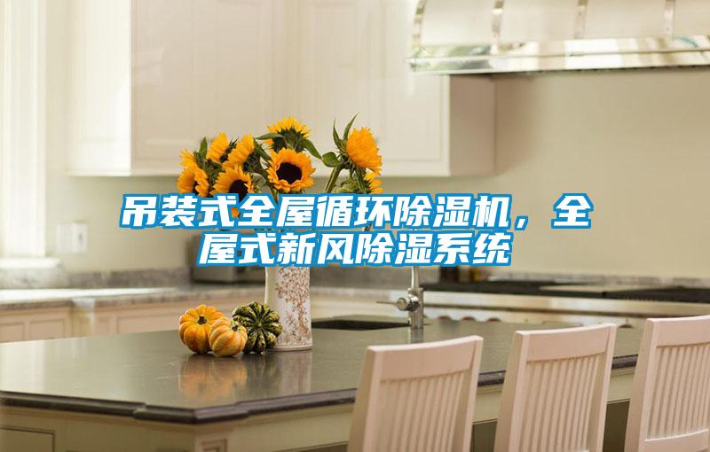 吊裝式全屋循環(huán)除濕機(jī)，全屋式新風(fēng)除濕系統(tǒng)