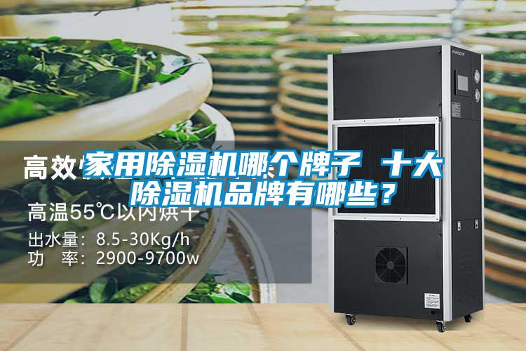 家用除濕機(jī)哪個牌子 十大除濕機(jī)品牌有哪些？