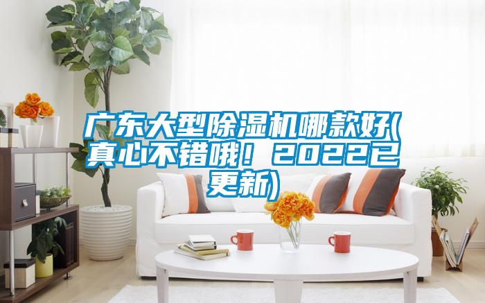 廣東大型除濕機(jī)哪款好(真心不錯(cuò)哦！2022已更新)