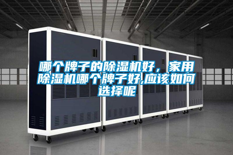哪個牌子的除濕機好，家用除濕機哪個牌子好,應(yīng)該如何選擇呢