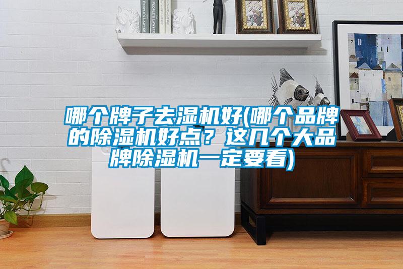 哪個(gè)牌子去濕機(jī)好(哪個(gè)品牌的除濕機(jī)好點(diǎn)？這幾個(gè)大品牌除濕機(jī)一定要看)